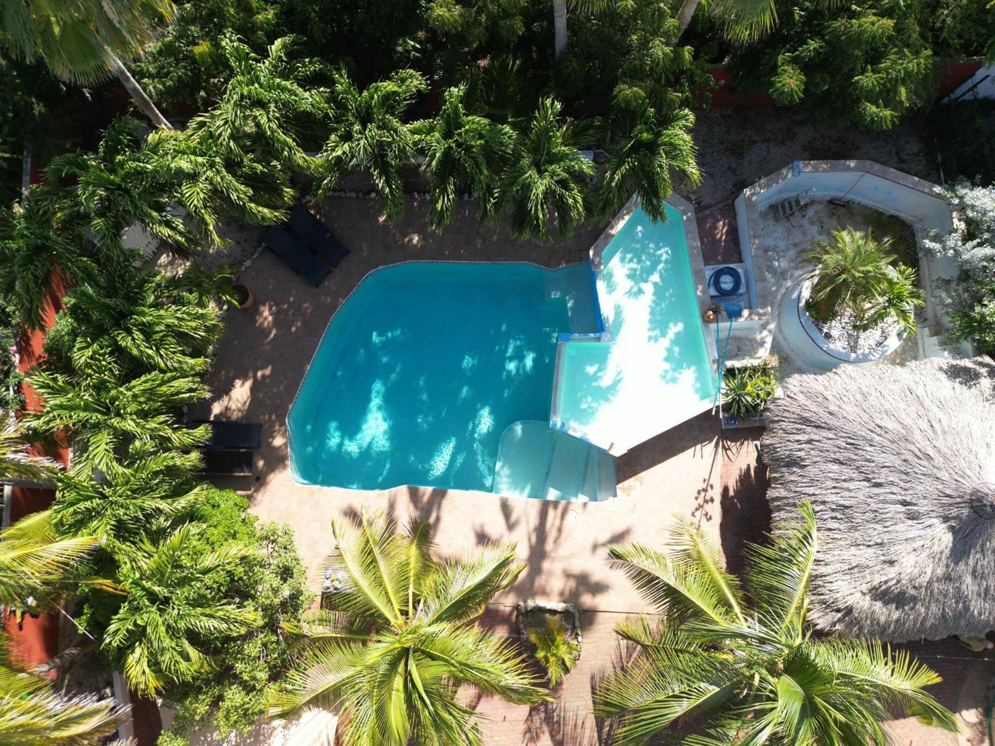 Woodstock Palmresort Curacao Willemstad Dış mekan fotoğraf