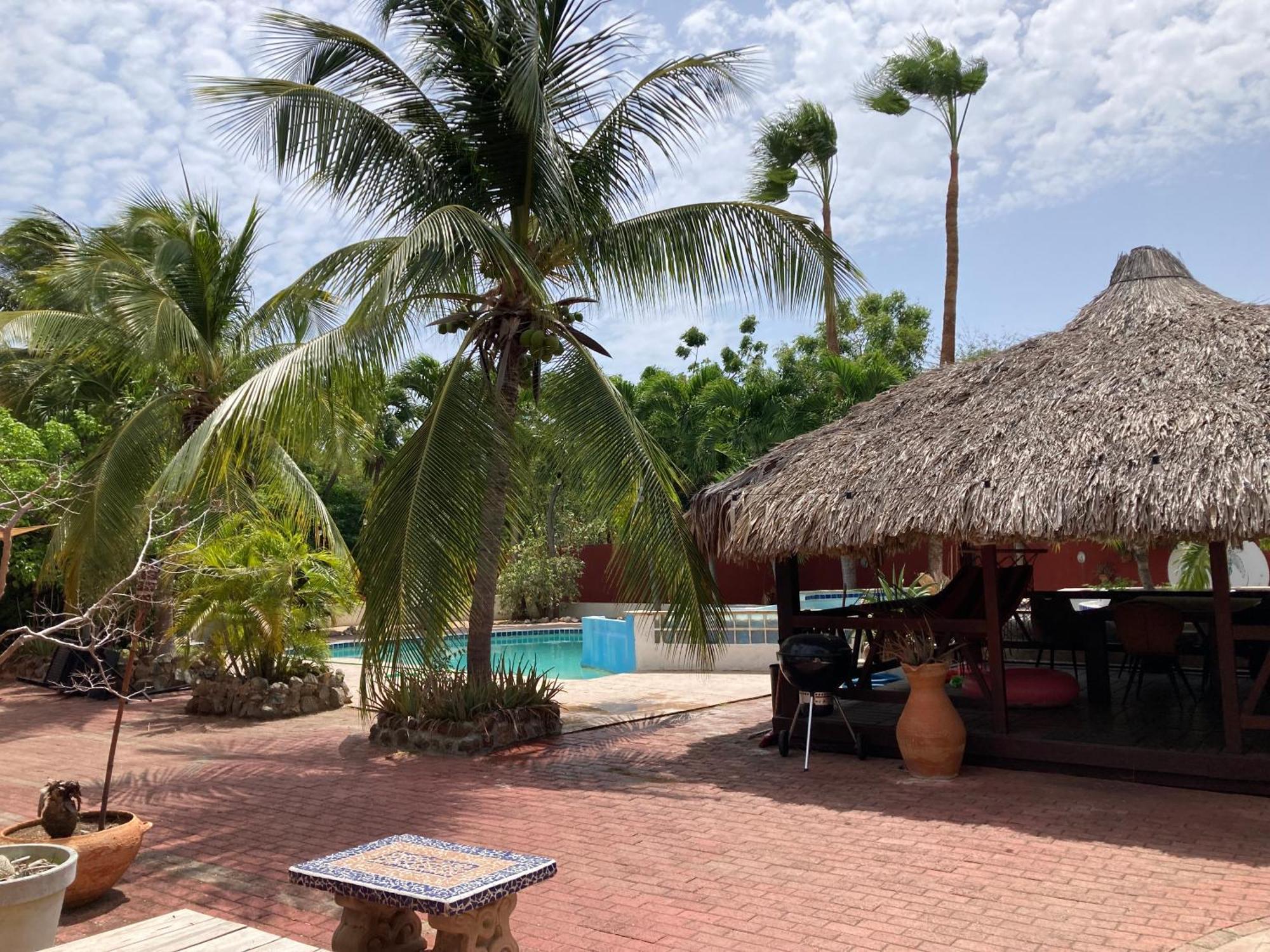 Woodstock Palmresort Curacao Willemstad Dış mekan fotoğraf